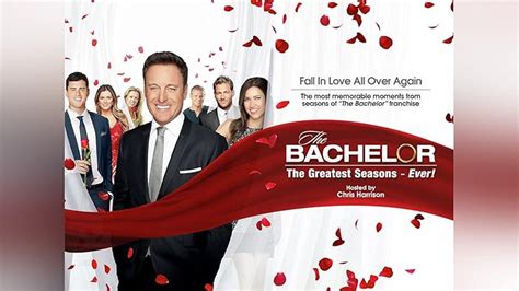 The Bachelor Auction: A Dream of Love and Competition